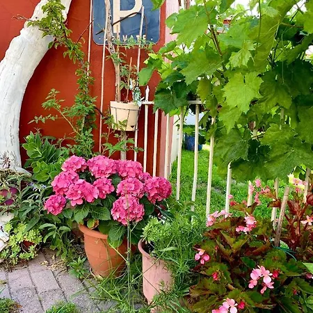 M&m Πολύχρονο